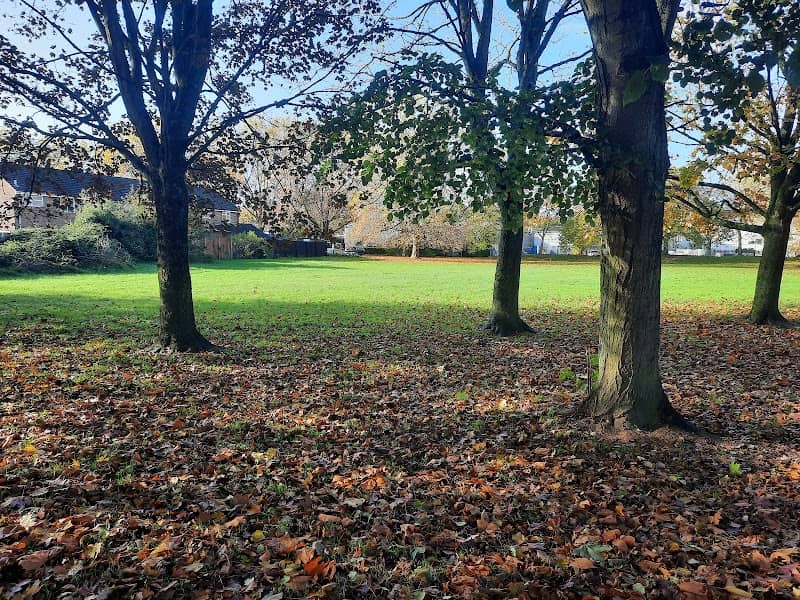 Whyte's Woods - Image 2