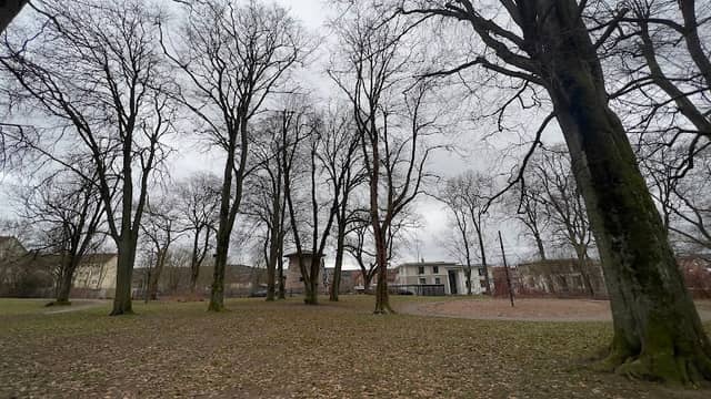 Stadt Park - Image 2