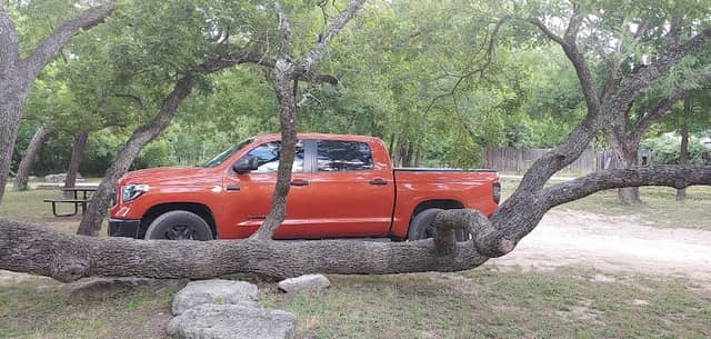 Pecan Park - Image 2