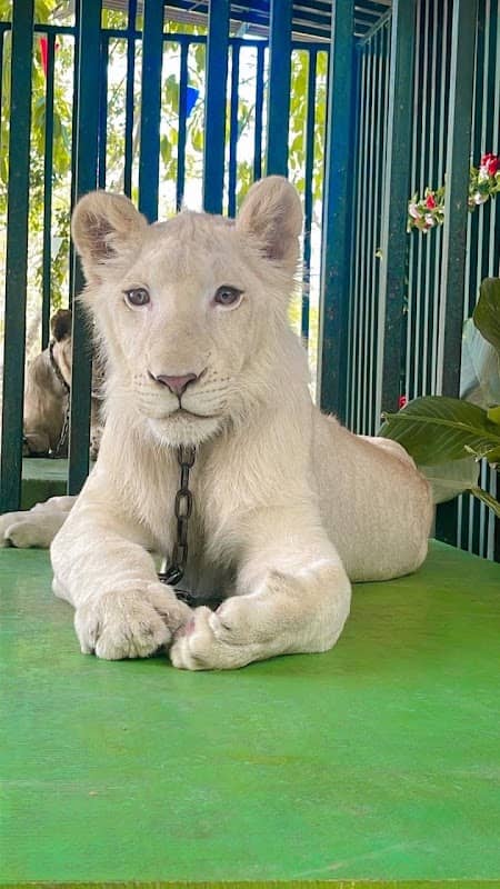 Hua Hin Zoo - Image 1