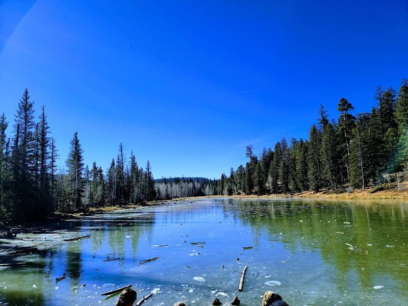 Aspen-Mirror Lake - Image 1