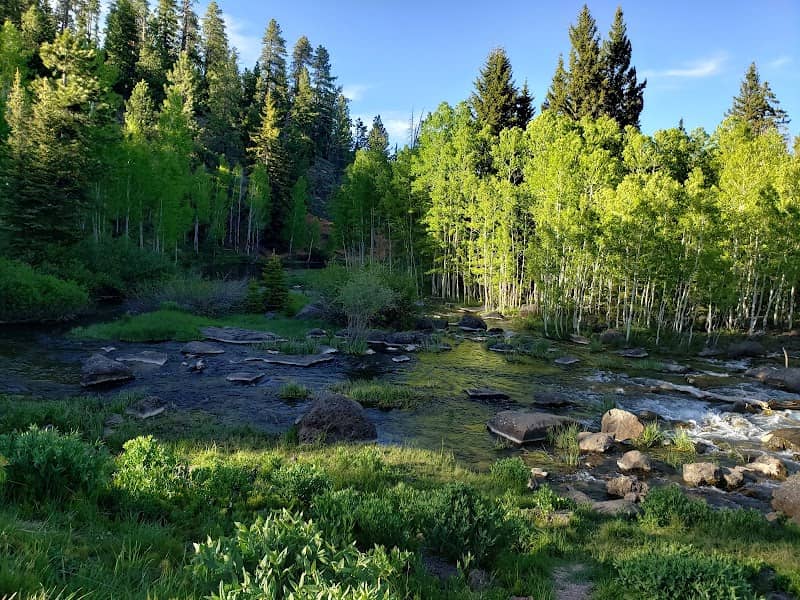 Aspen-Mirror Lake - Image 2