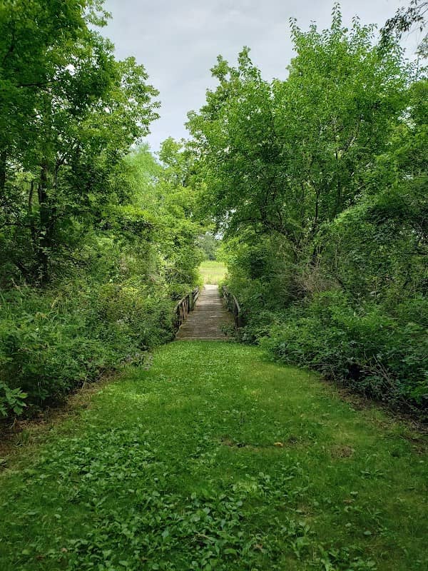 Tuttle Clarkson Natural Area - Image 1