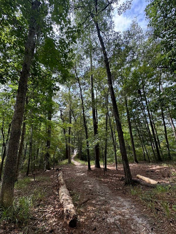 Limestone Nature Trail - Image 1