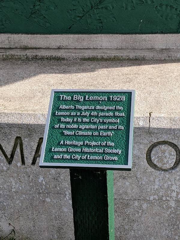 Lemon Grove Giant Lemon - Image 2