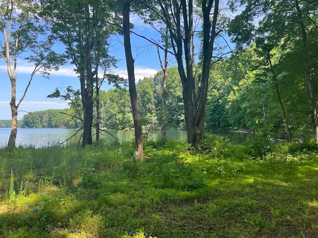 Shorline Trail - Image 1