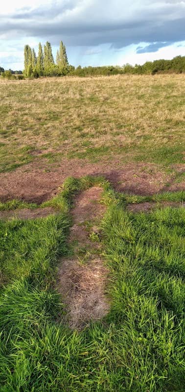 Burlish Meadows - Image 1