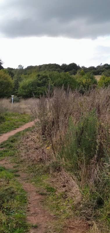 Burlish Meadows - Image 2