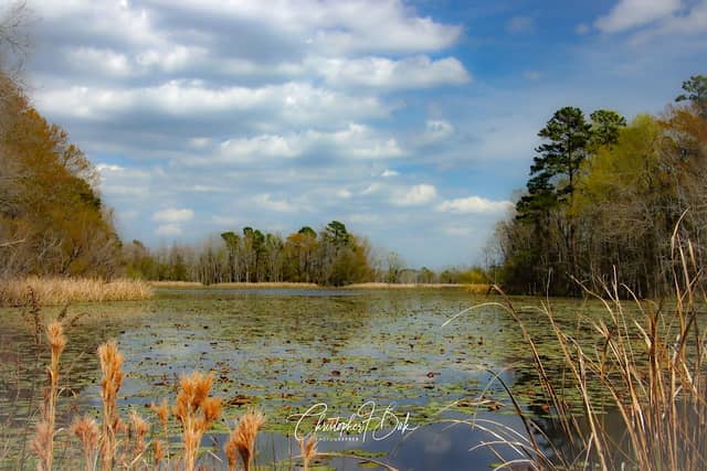 Santee National Wildlife Refuge - Cuddo Unit Entrance - Image 3