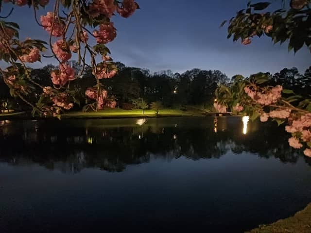 Luther Lake - Image 2