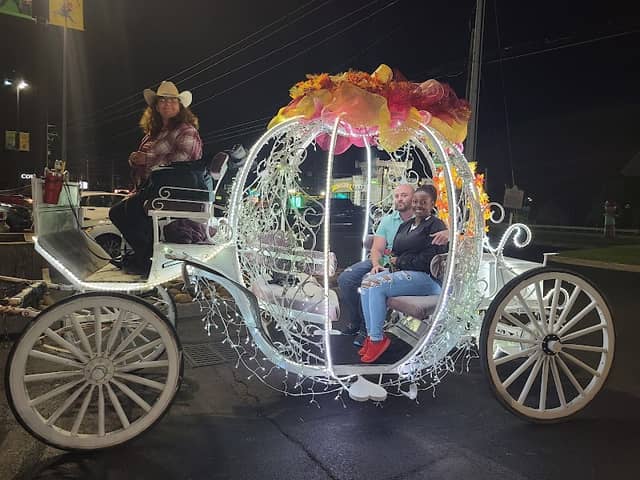 Heritage Carriage Rides - Image 1