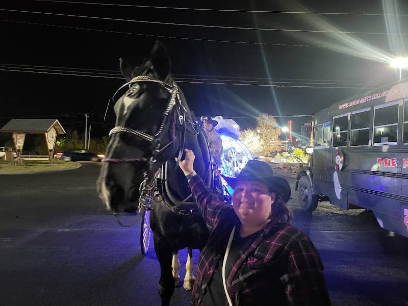 Heritage Carriage Rides - Image 2