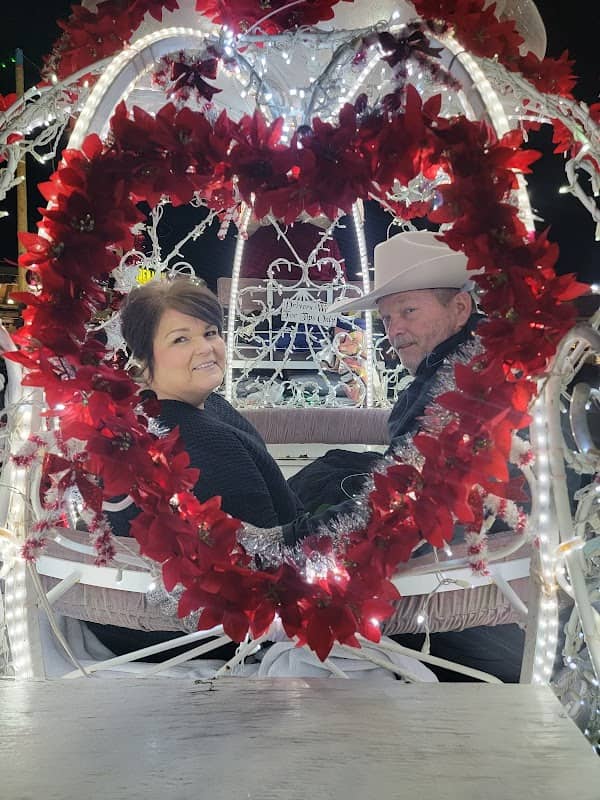 Heritage Carriage Rides - Image 3