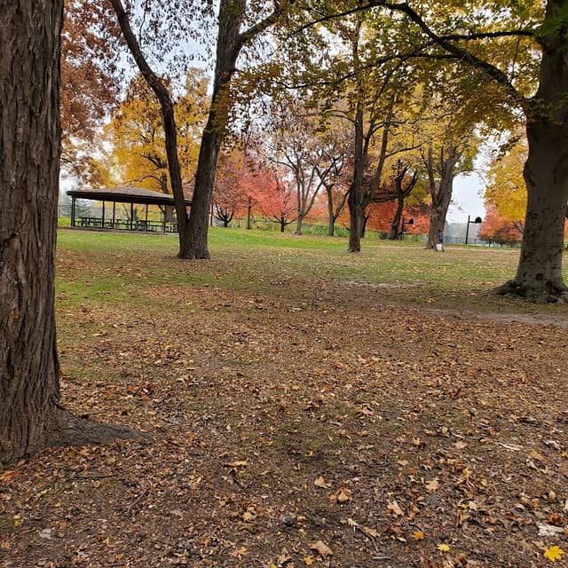 Wing Park - Image 2