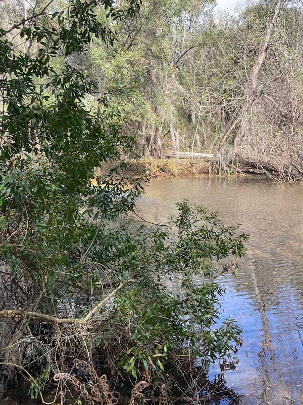 Chapman's Pond & Nature Trails - Image 1