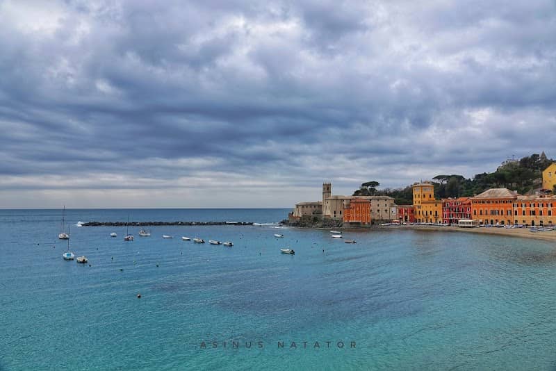 Museo Galleria Rizzi - Image 2