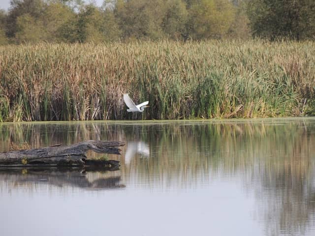 DNR lot, Zeloski Marsh - Image 2