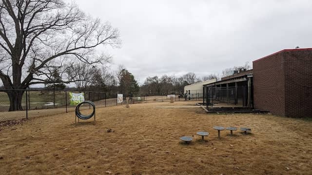 University Bark Park - Image 1