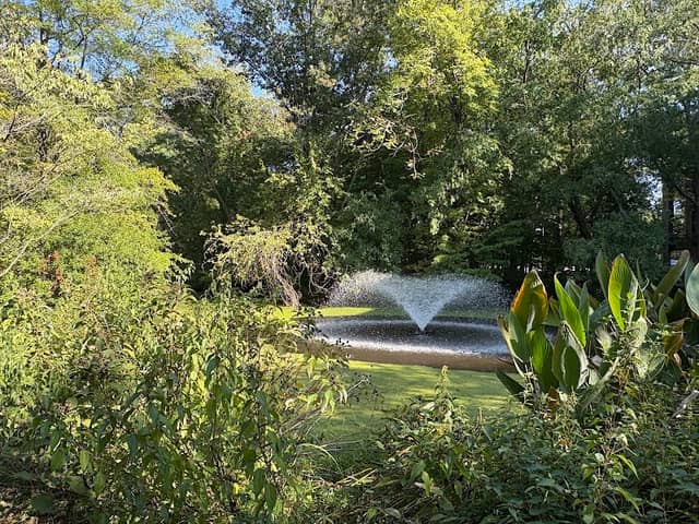 Tawes Garden - Image 1