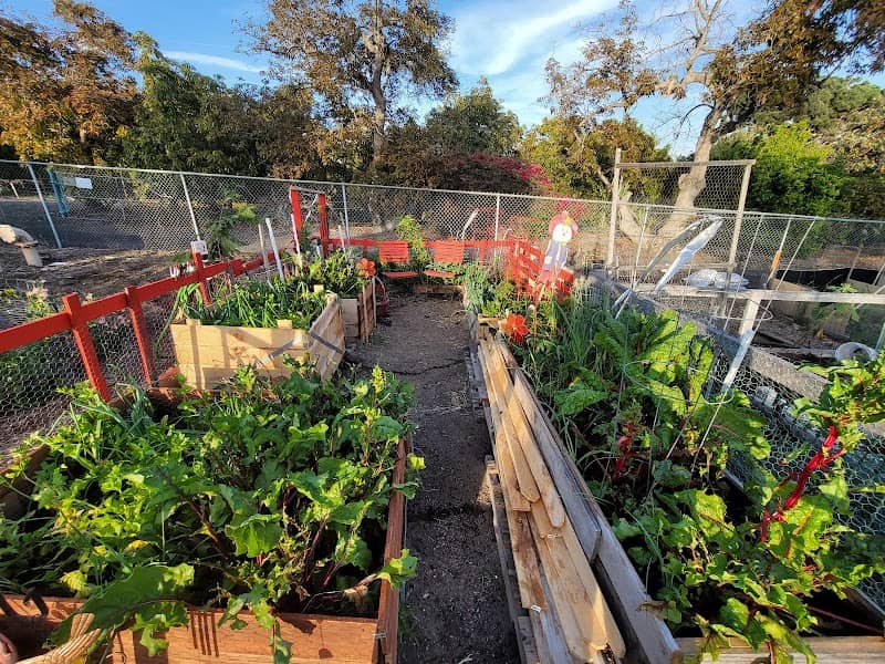 Camarillo Community Gardens - Image 1