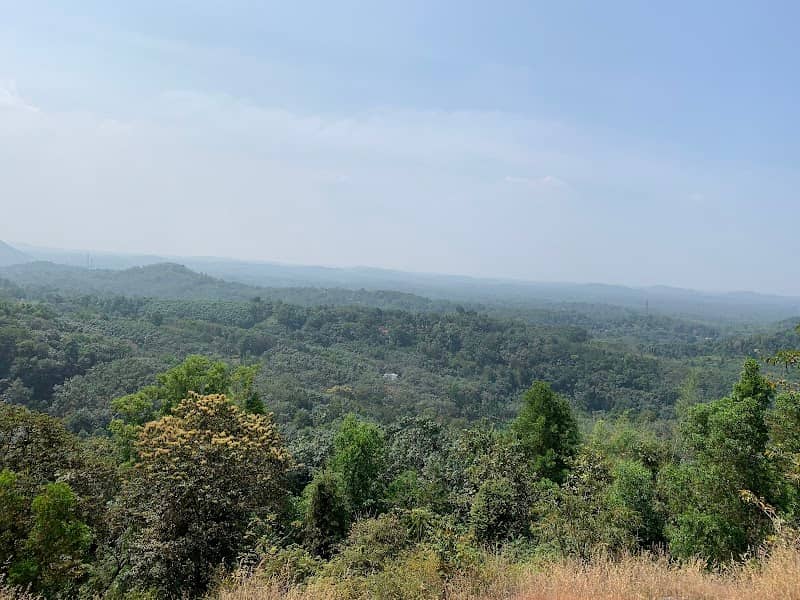 Kadalukaani Para - Image 1