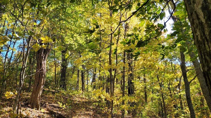 Little Pisgah Ridge Tunnel - Image 1