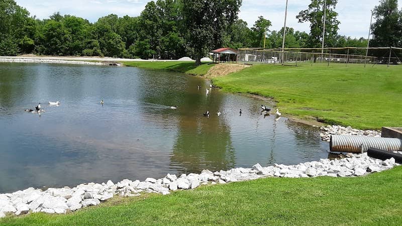 Brownstown Public Park - Image 1