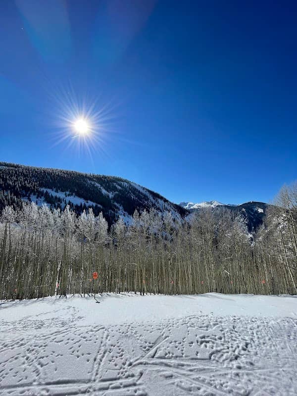 McCoy Park - Image 2