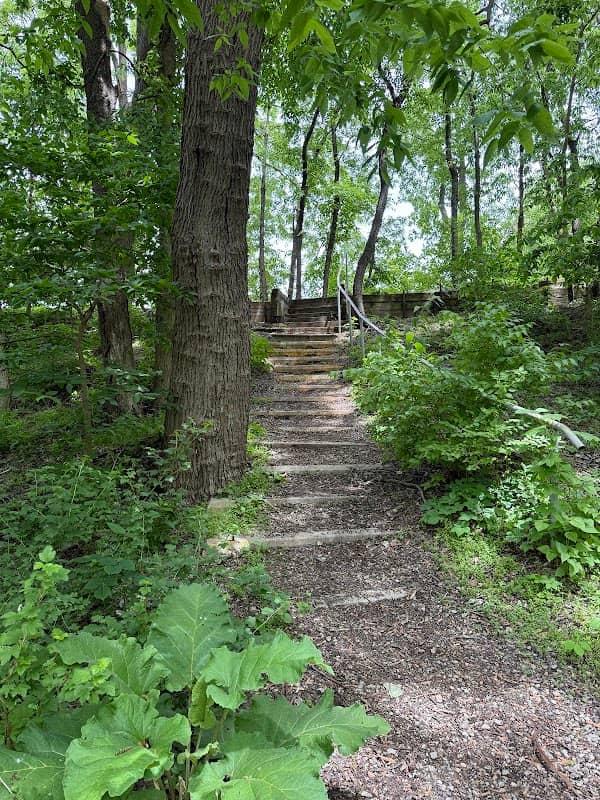 Hidden Creek Nature Sanctuary - Image 2