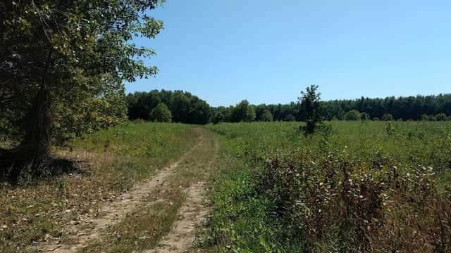 Saint Stanislaus Conservation Area - Image 1