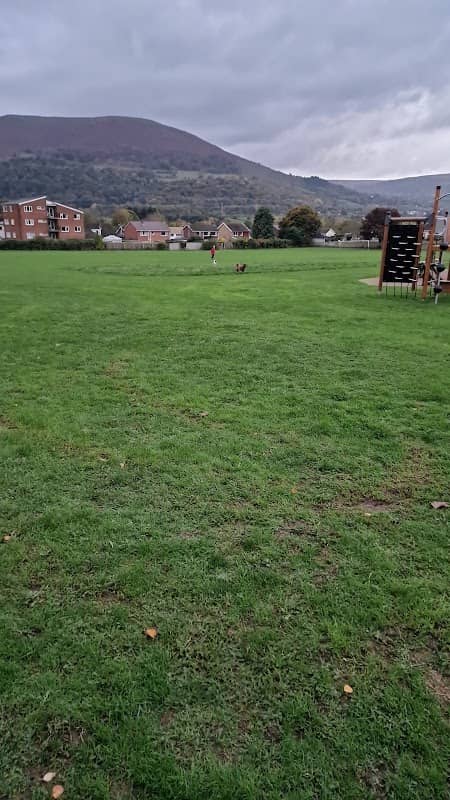 Parc Belgrave Park - Image 2