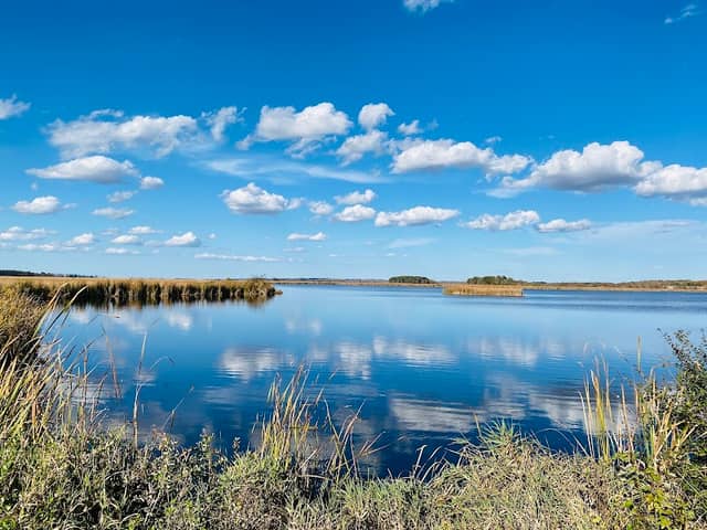 Horicon Marsh Scenic Outlook - Image 1