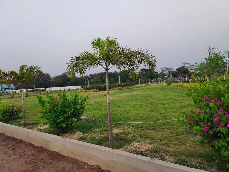 Singareni Park - Image 1