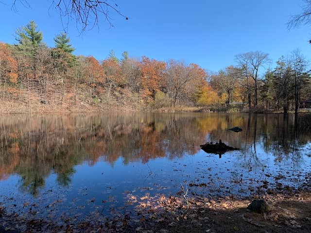 Pine Banks Park - Image 2