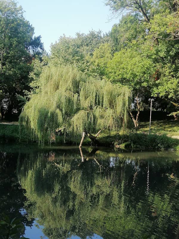 Parco Pubblico - Image 1