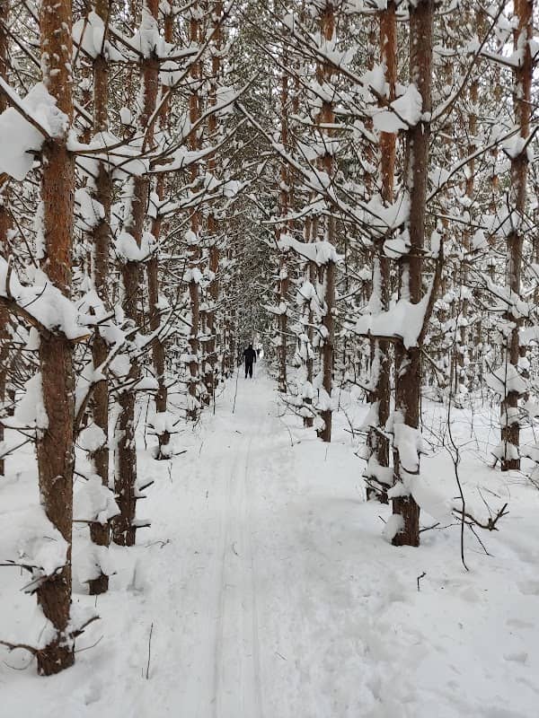 Park Dubrava - Image 1