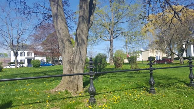 Genesee Park - Image 1