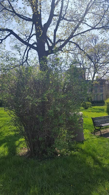 Genesee Park - Image 2