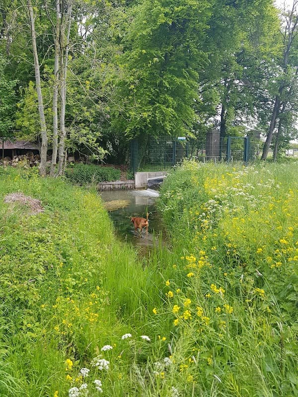 “Kanaaldijk Noord” Natuur- en Wandelpad. - Image 2