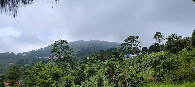 Upper sittong view point - Image 1
