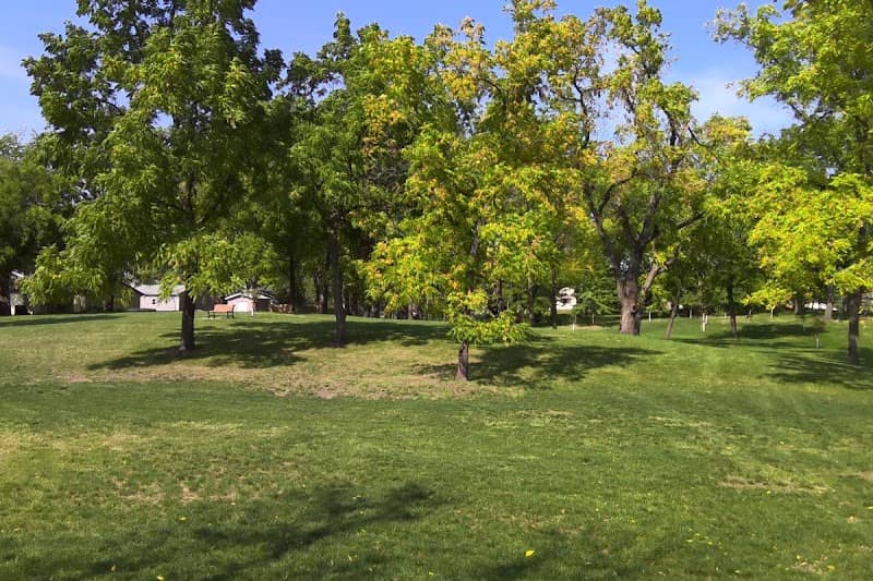 Doc Simmer Memorial Park - Image 1