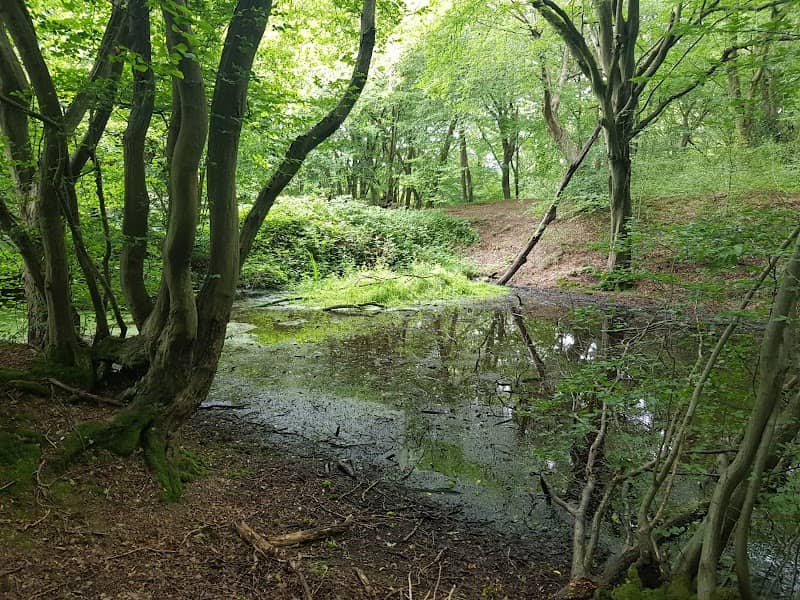 South Godstone - Image 1