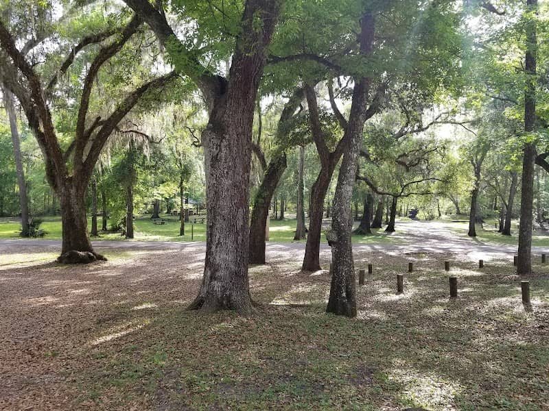 Chastain-Seay Park (Town Of Worthington Springs) - Image 2
