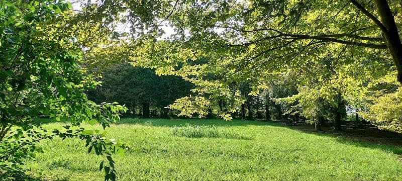 Il bosco di pianura - Image 1