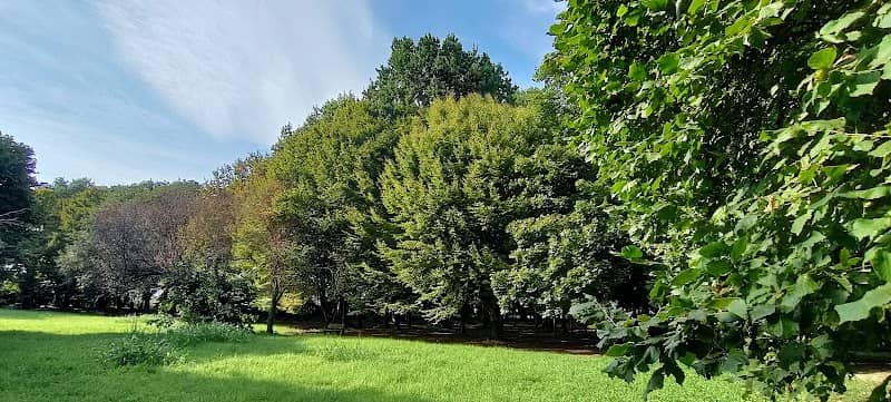 Il bosco di pianura - Image 2