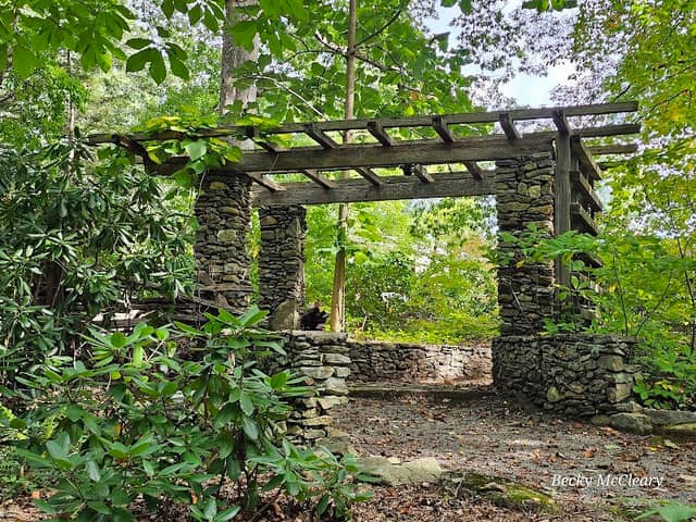 Rhododendron Garden - Image 2