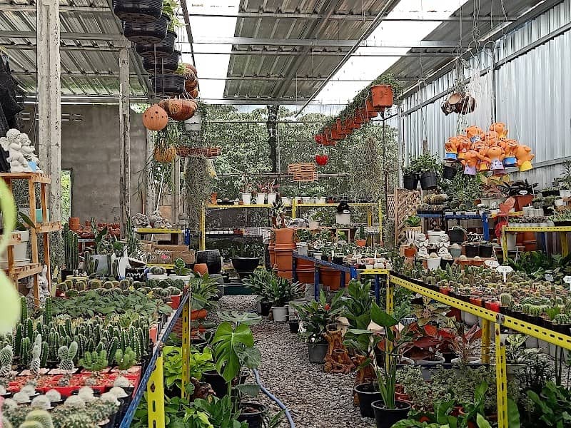 Little Garden ลานไม้มิตรภาพ - Image 1