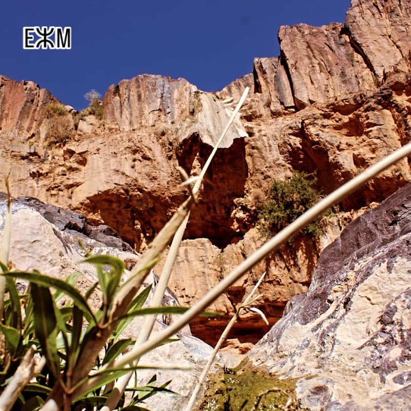 ديسلي - Image 1