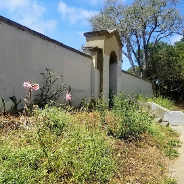 Peery Park - Image 3