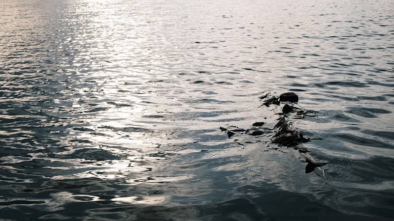 Danau Siombak - Image 1